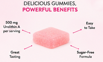 Daily Chew Urolithin A Gummies 500mg — Cellular Energy & Longevity Support